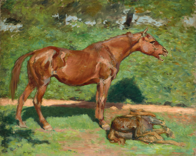 סוסה וסייח שלה - לואי אנקטן