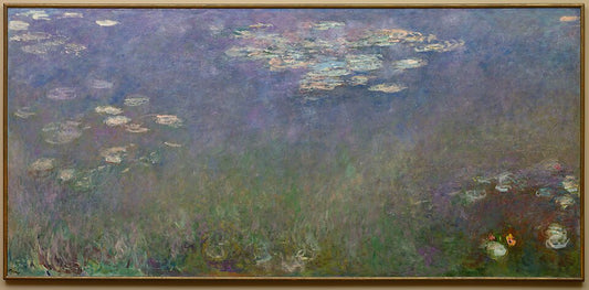 נֵנֻפָּרִים (Agapanthus) - קלוד מונה