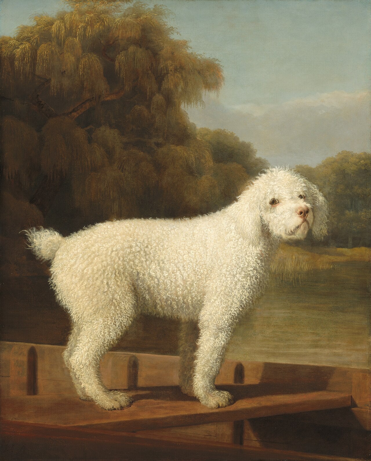 Caniche blanc dans un Punt - George Stubbs