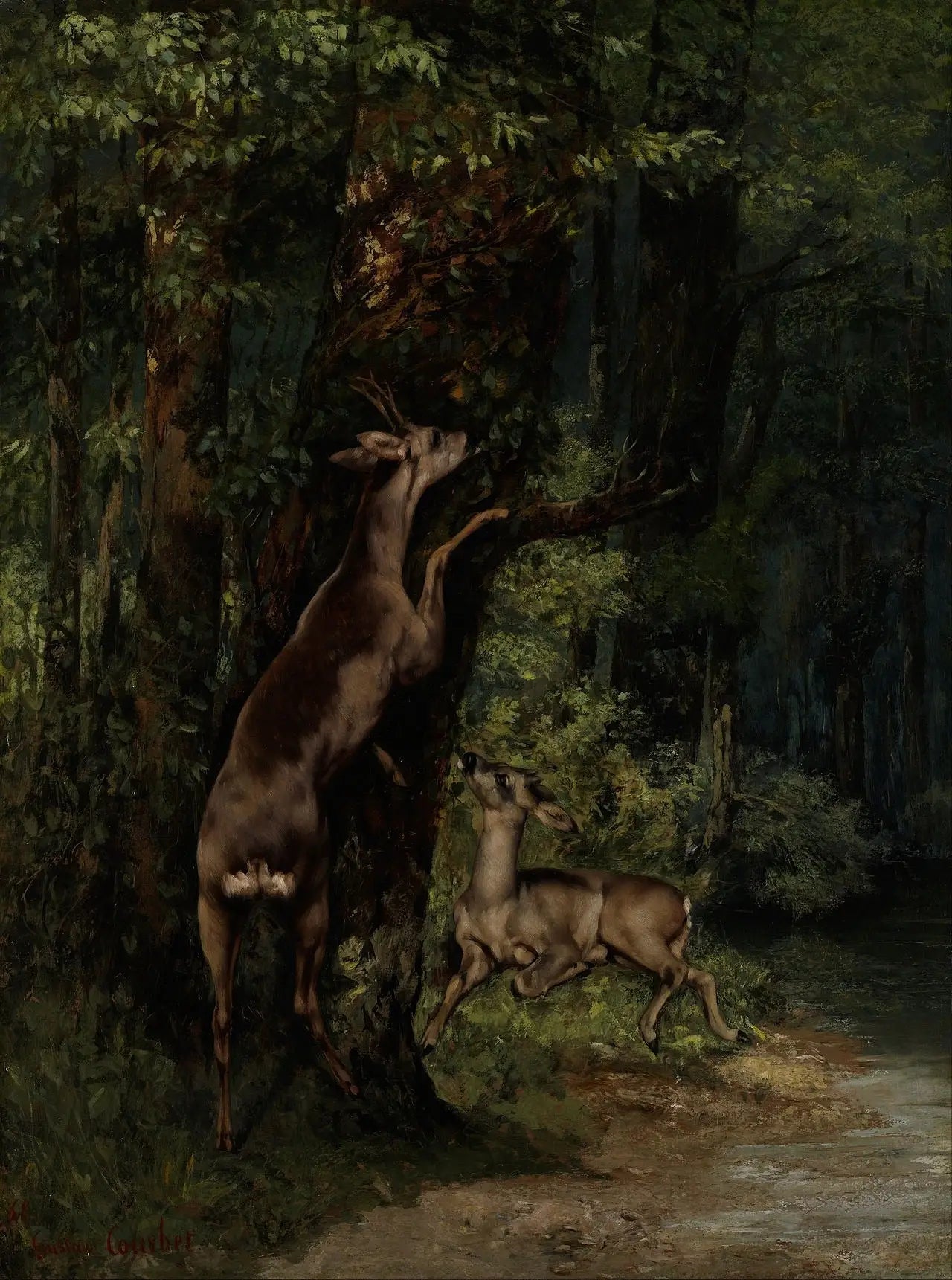 Cerf dans la forêt - Gustave Courbet - Alpha Reproduction