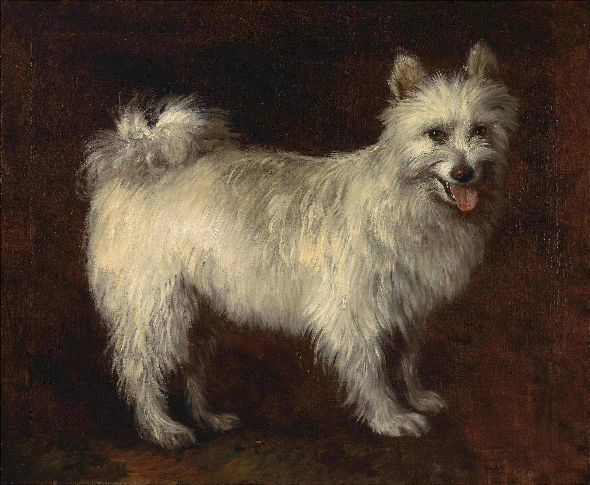 Chien Spitz - Thomas Gainsborough - Alpha Reproduction