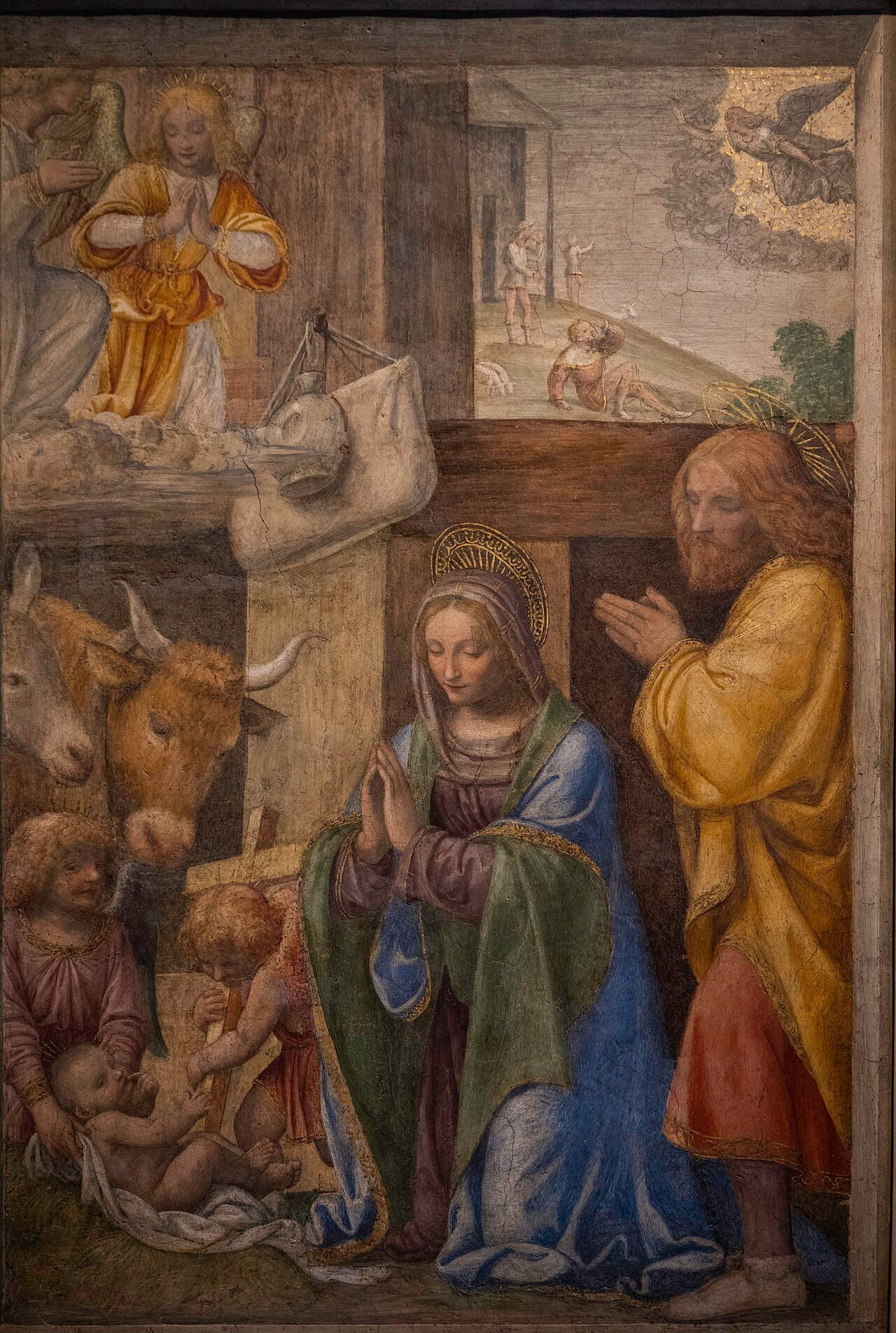 La Nativité et l'Annonce aux bergers - Bernardino Luini
