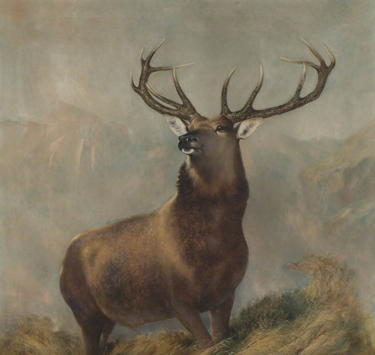Le monarque du Glen - Edwin Henry Landseer