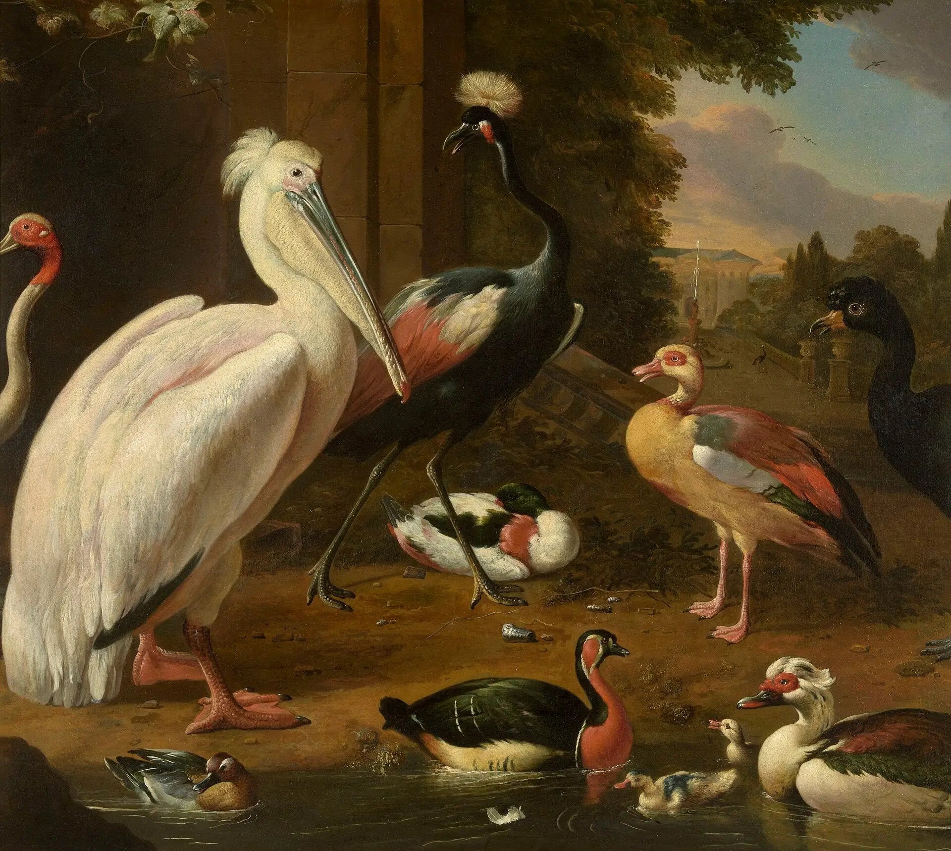 Oiseaux aquatiques - Melchior de Hondecoeter - Alpha Reproduction