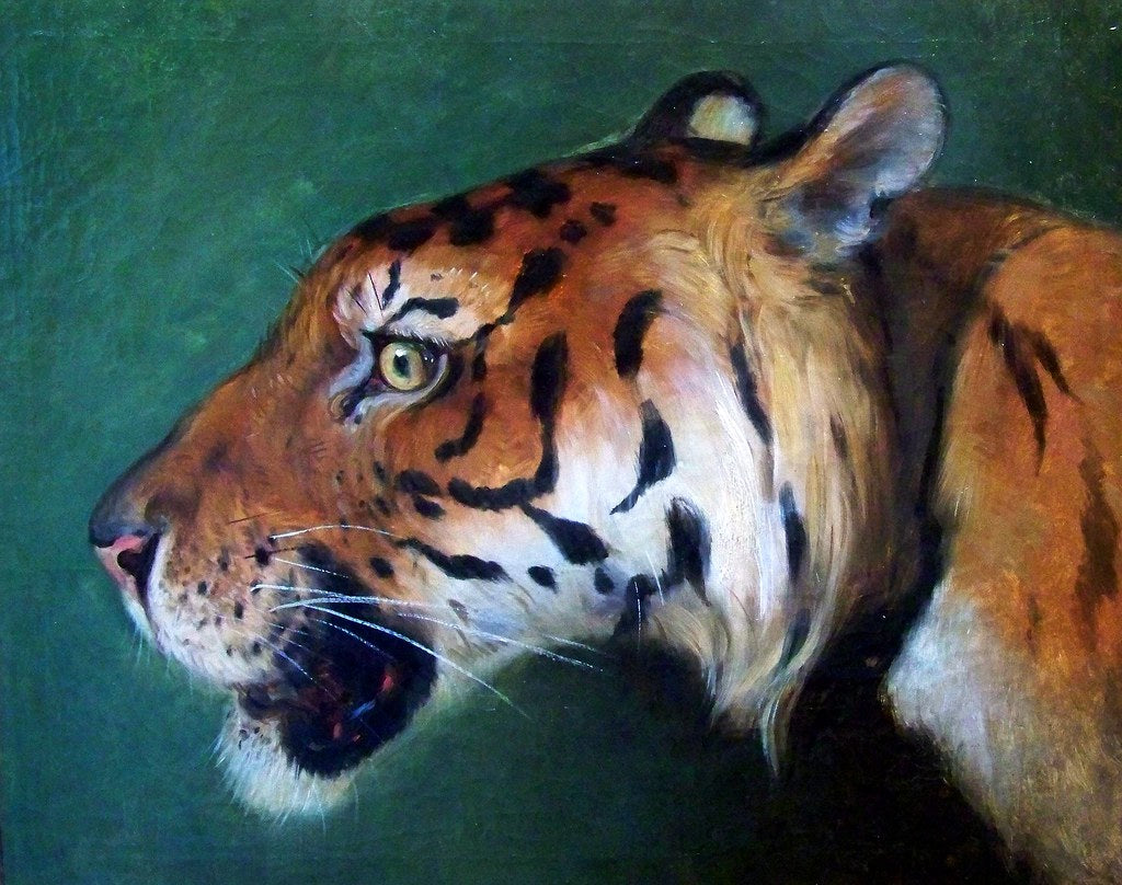 Reproduction du tableau « Tête de tigre - Eugène Delacroix » par Alpha Reproduction en peinture à l’huile
