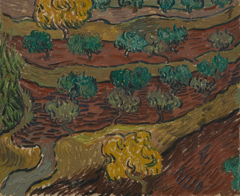 עצי זית על גבעה - Vincent van Gogh