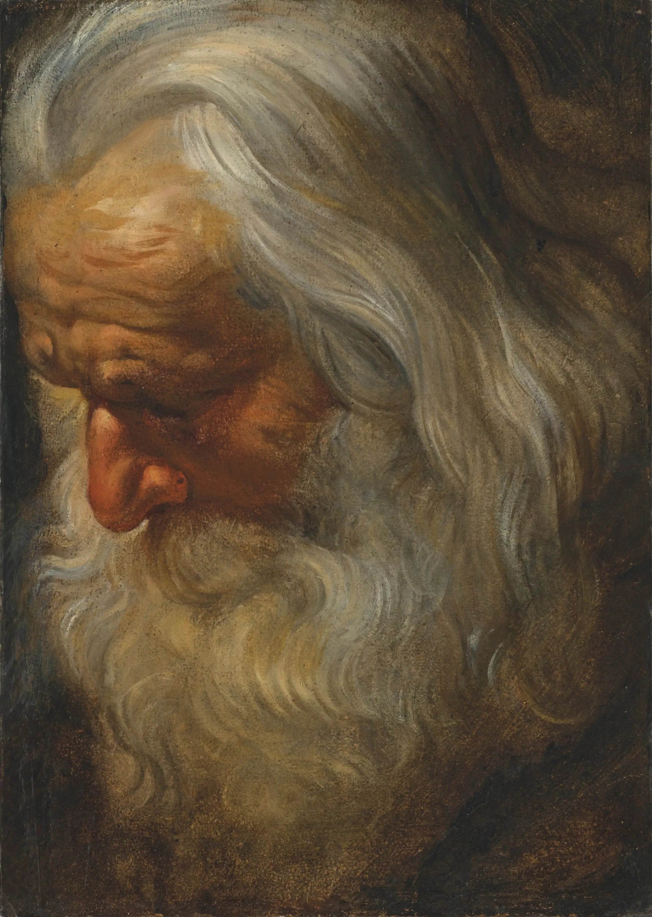 Étude de tête d’un vieil homme barbu - Peter Paul Rubens - Alpha Reproduction