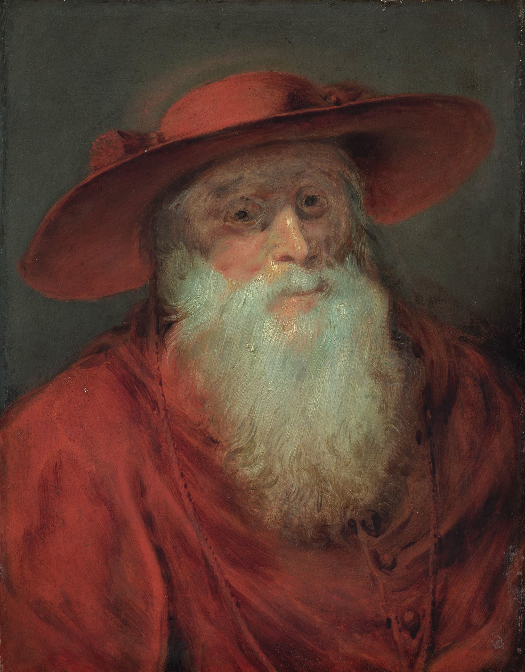 Saint Jérôme cardinal - Peter Paul Rubens