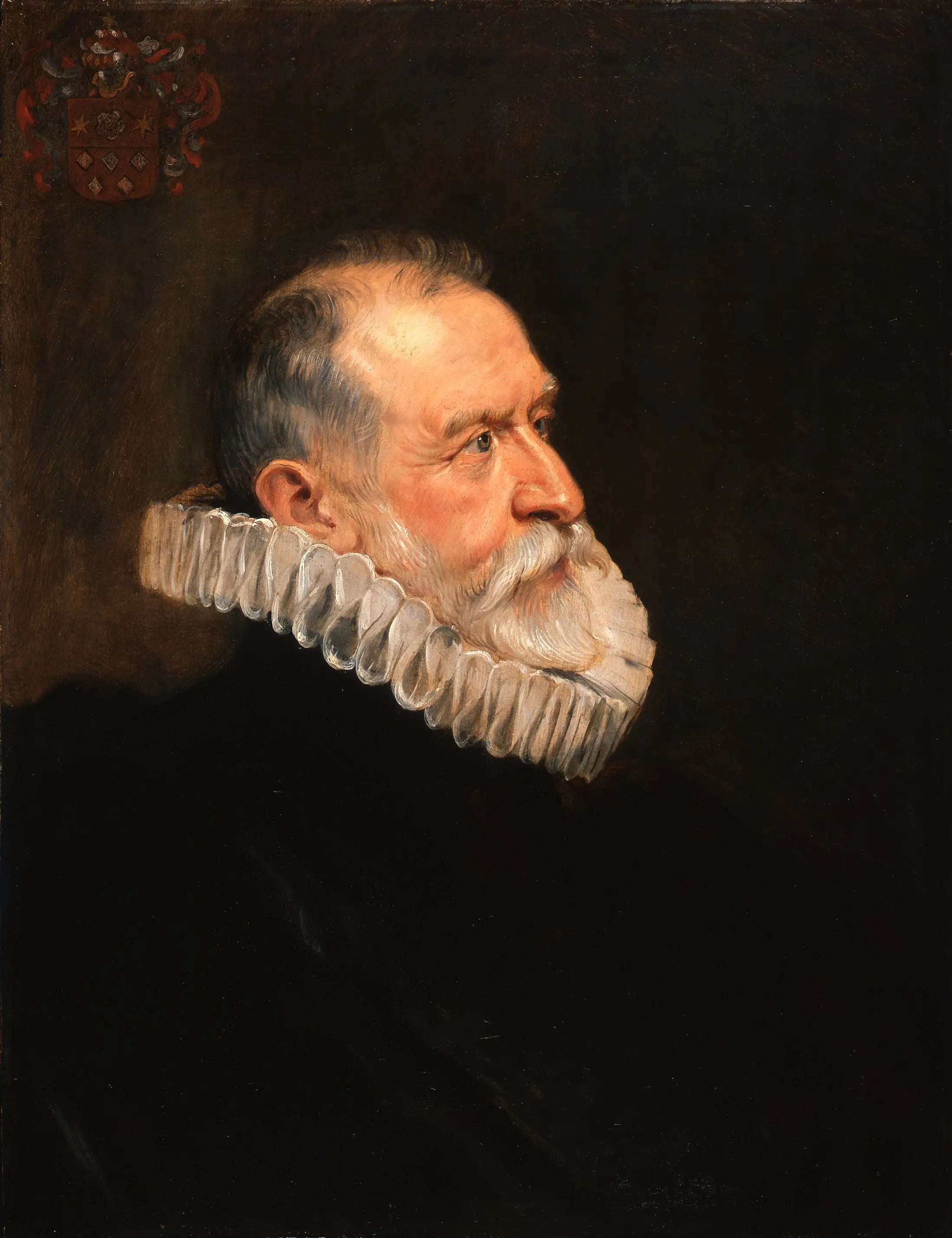 Portrait d’un vieil homme - Peter Paul Rubens - Alpha Reproduction
