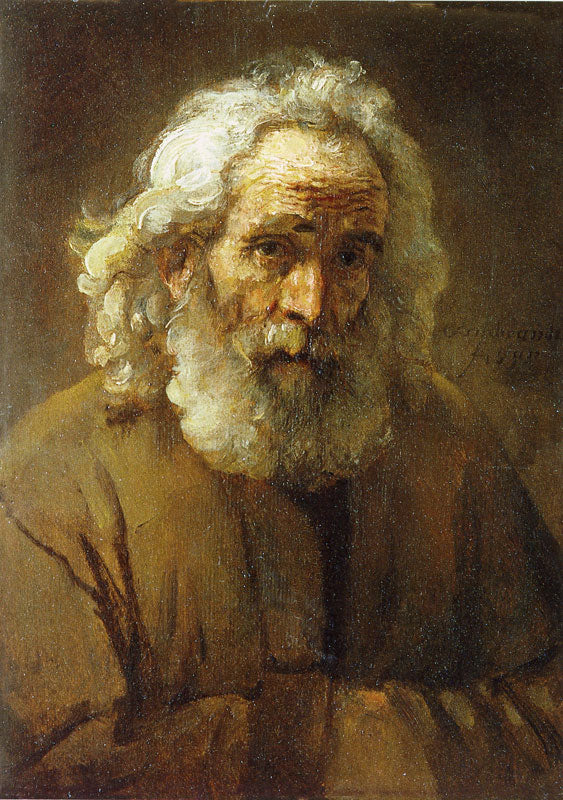 Reproduction du tableau « Étude d'un vieil homme barbu - Rembrandt » par Alpha Reproduction en peinture à l’huile
