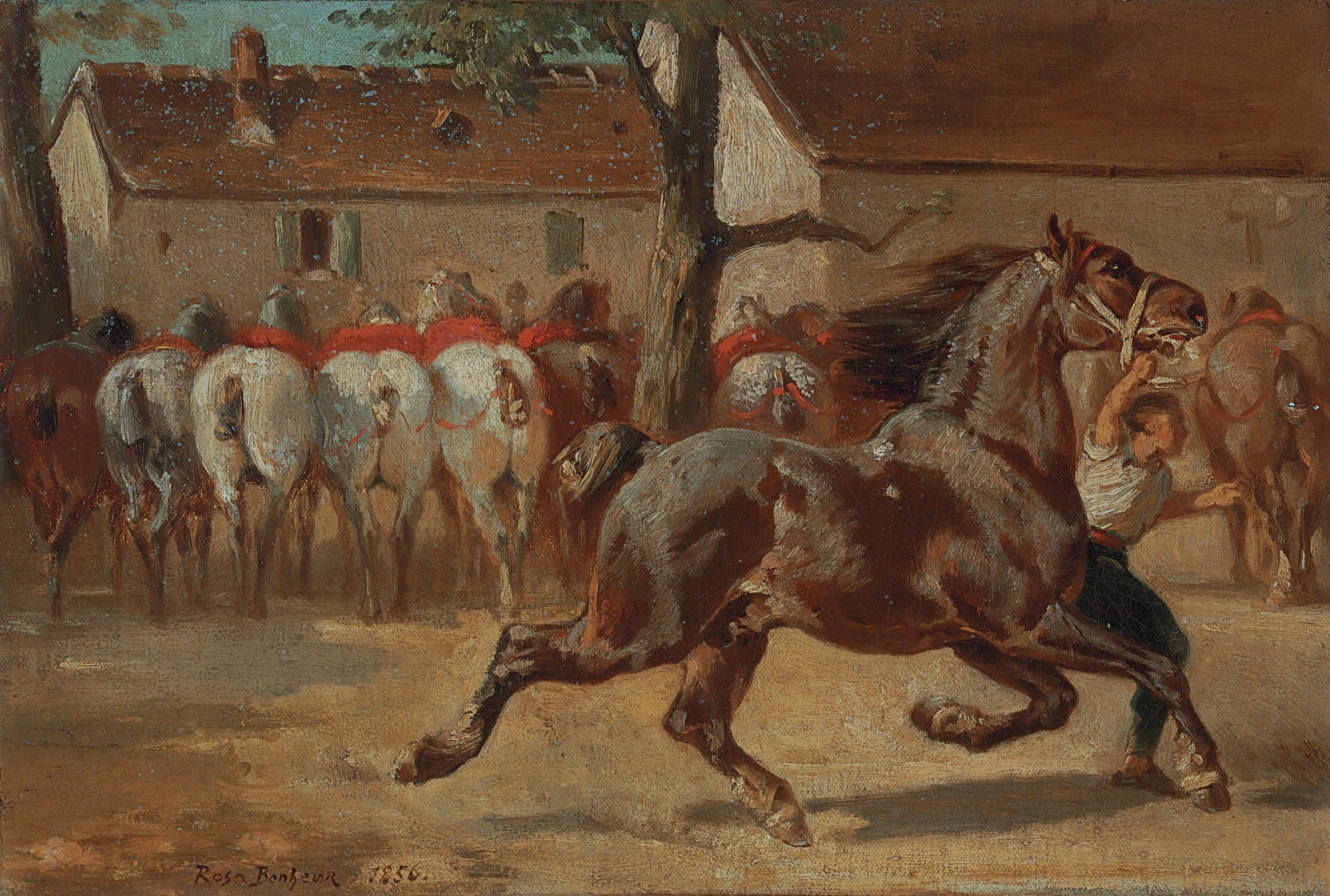 Trot un cheval - Rosa Bonheur
