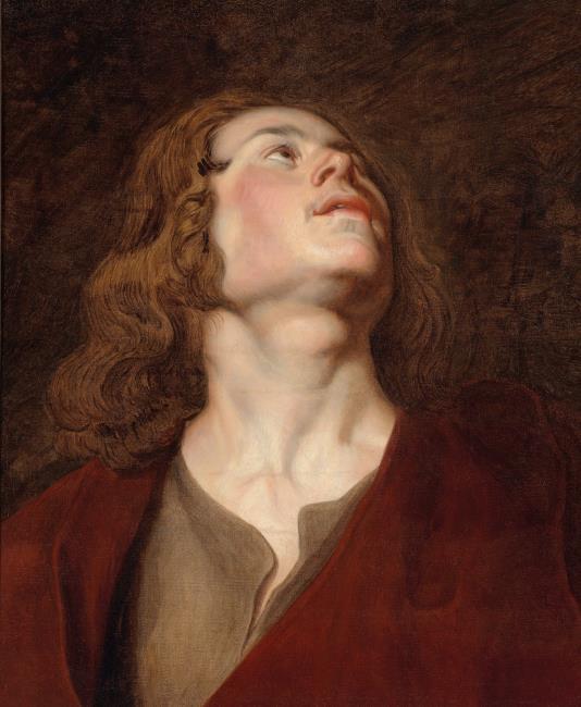 Tête de Saint Jean - Peter Paul Rubens