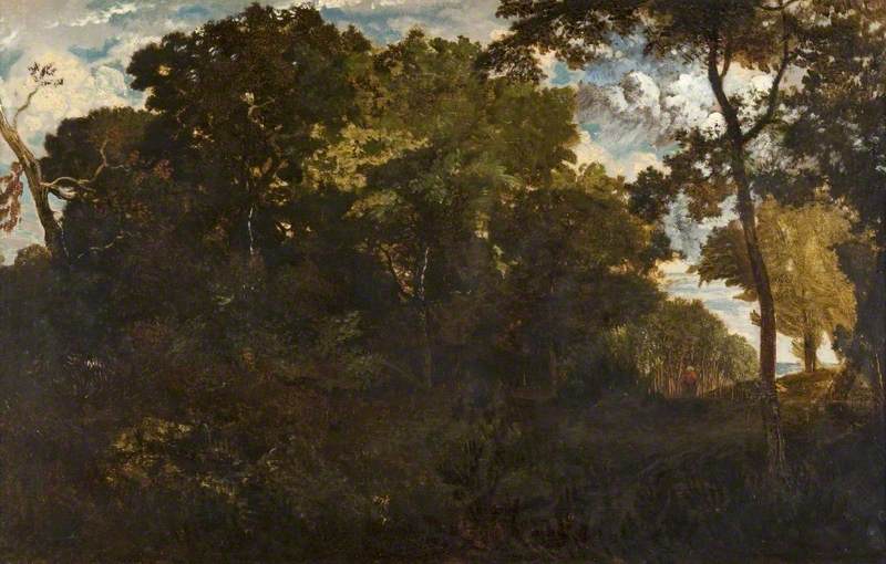 La forêt de Clairbois - Théodore Rousseau
