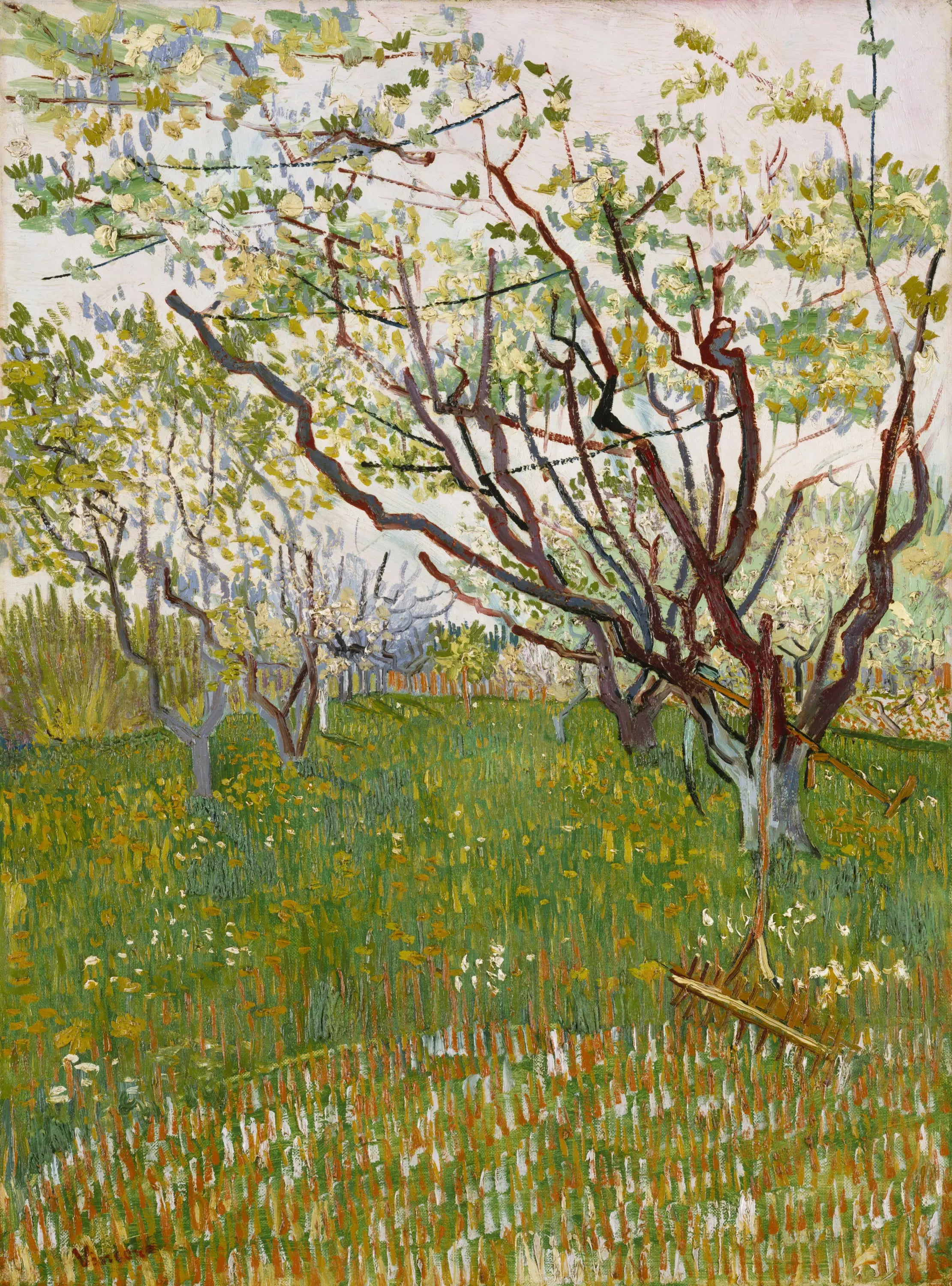 Reproduction du tableau « Verger en fleur - Vincent van Gogh » par Alpha Reproduction en peinture à l’huile