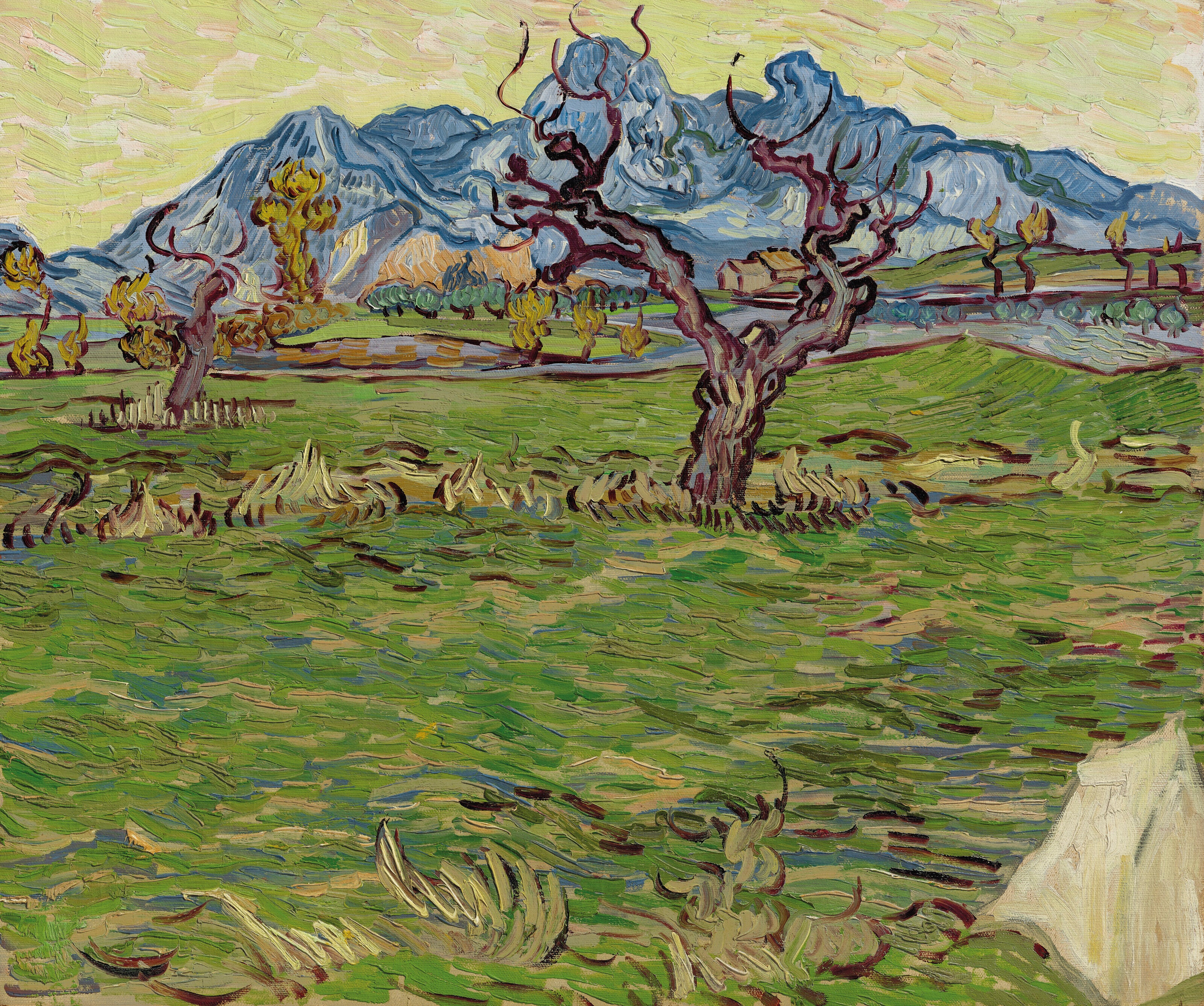 Reproduction du tableau « Champs près des Alpilles - Vincent van Gogh » par Alpha Reproduction en peinture à l’huile