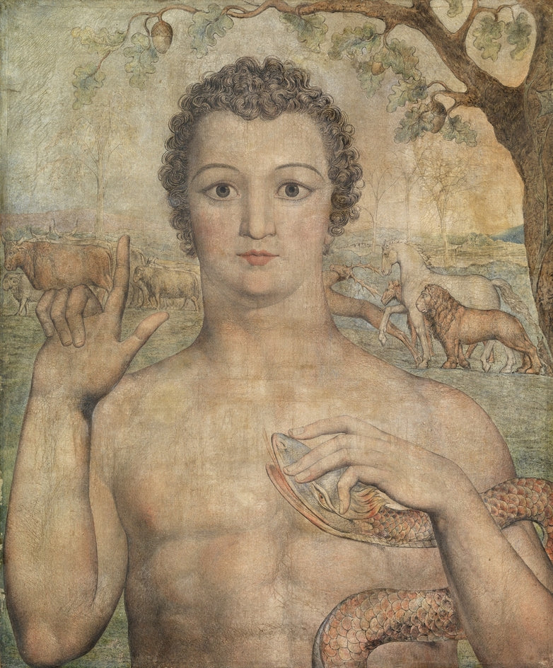 Adam nomme les bêtes - William Blake - Alpha Reproduction