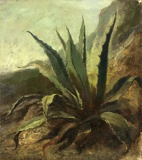 אגבה במרוקו - יוג'ין דלקרואה