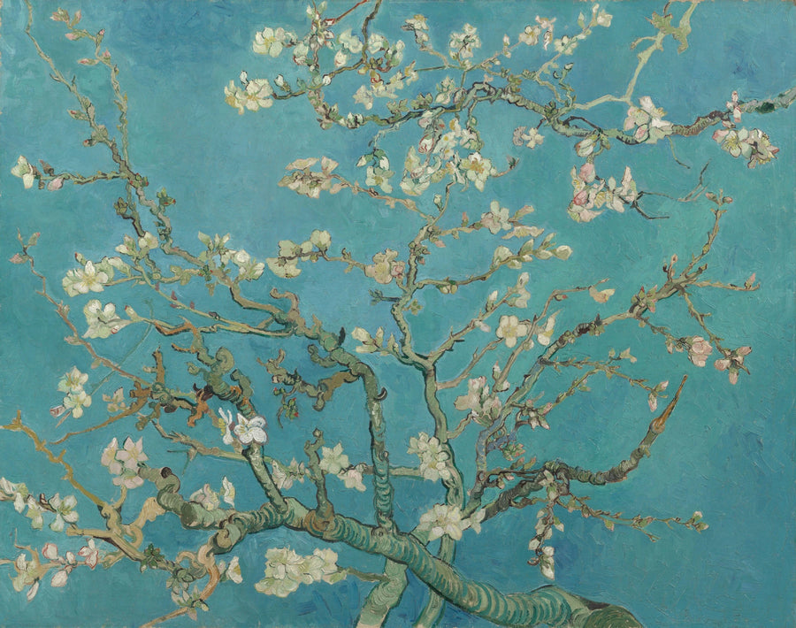 Amandier en fleurs de Vincent van Gogh, février 1890, Van Gogh Museum, Amsterdam