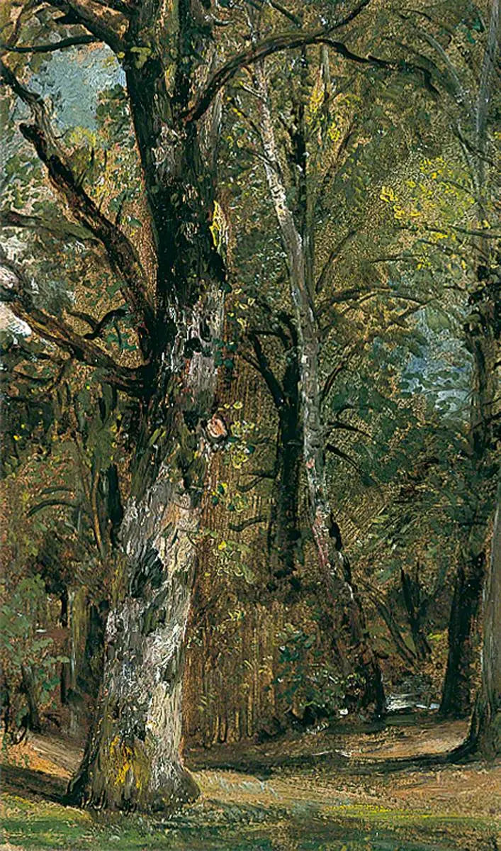 שדרת העצים - ג'ון קונסטבל