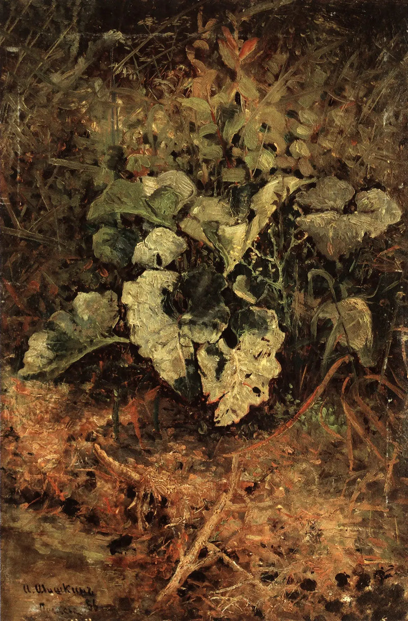 ברדאן - איוון צ'יכין