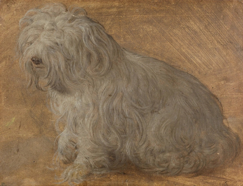 Bichon maltais - Titian image 1 reproduction artisanale de tableau