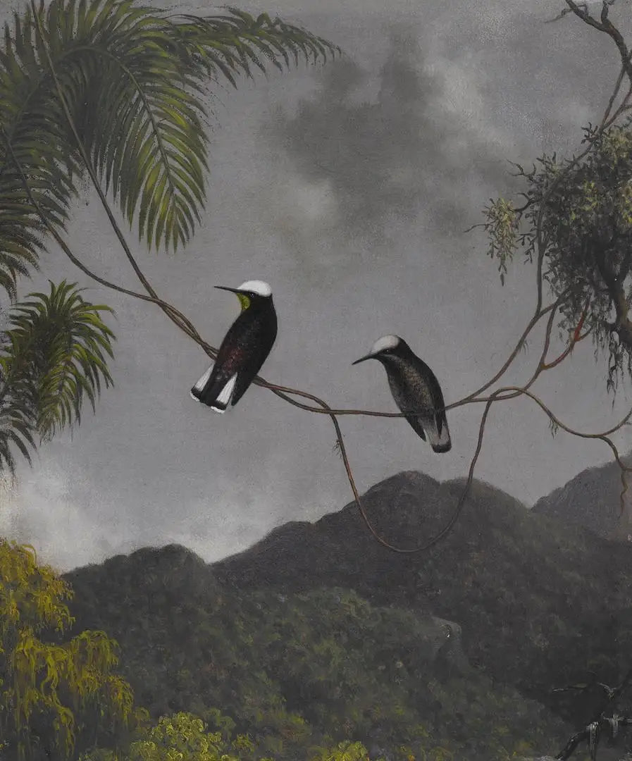 Bonnet de neige - Martin Johnson Heade image 1 reproduction artisanale de tableau