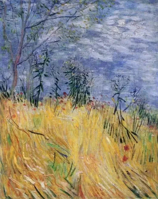 שולי שדה חיטה עם פרגי שדה - Vincent van Gogh