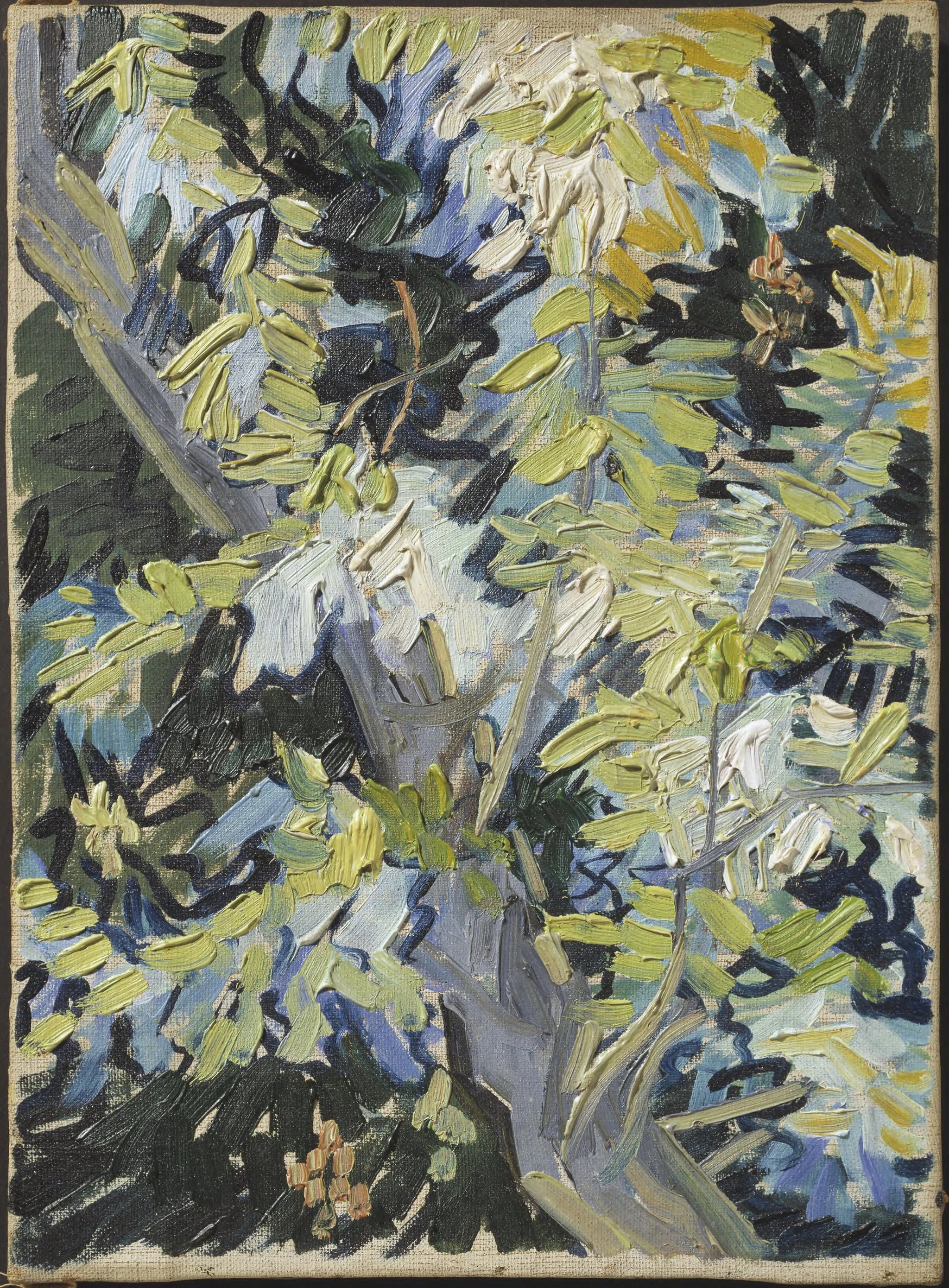 Branches d’acacia en fleurs, peinture de Vincent van Gogh conservée au Nationalmuseum