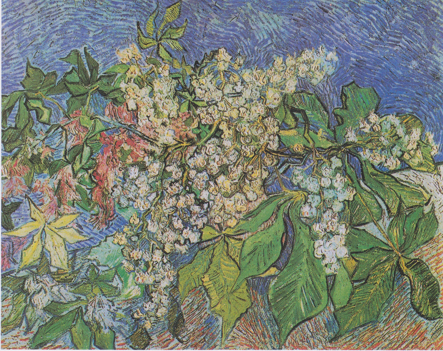 ענפי ערמון בפריחה - Vincent van Gogh