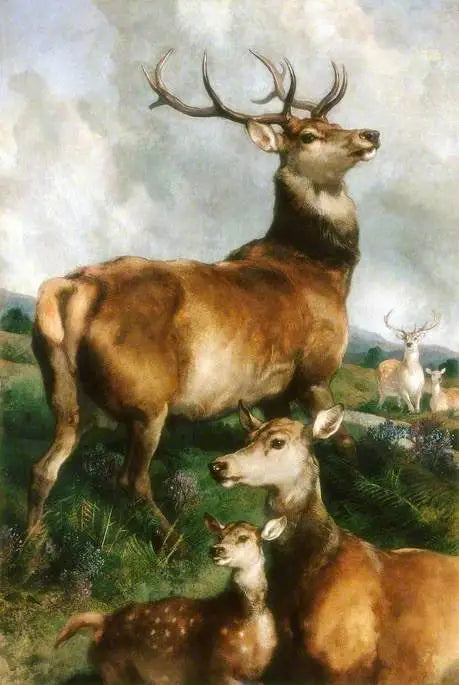 איילים מפארק צ'ילינגהאם, נורת'מברלנד - אדווין הנרי לנדסיר