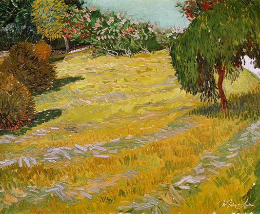 Champ à la lumière du soleil - Van Gogh - Reproductions de tableaux et peintures haut de gamme