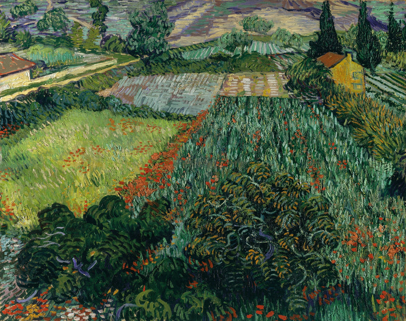 שדה פרגים - Vincent van Gogh