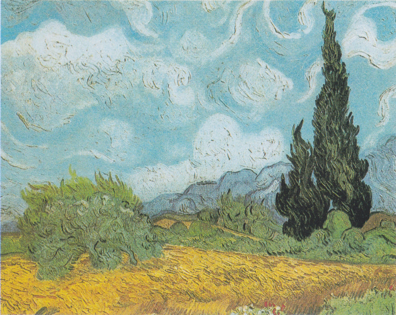 שדה חיטה עם ארז - Vincent van Gogh