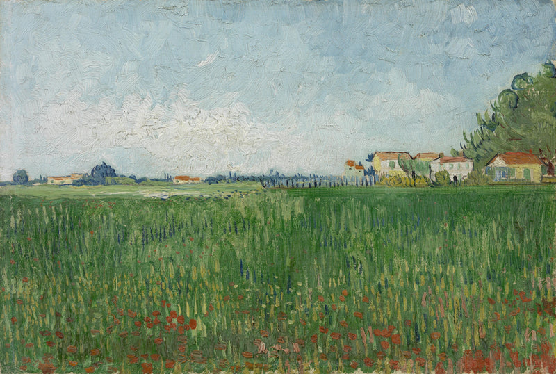 שדה פרגים - Vincent van Gogh