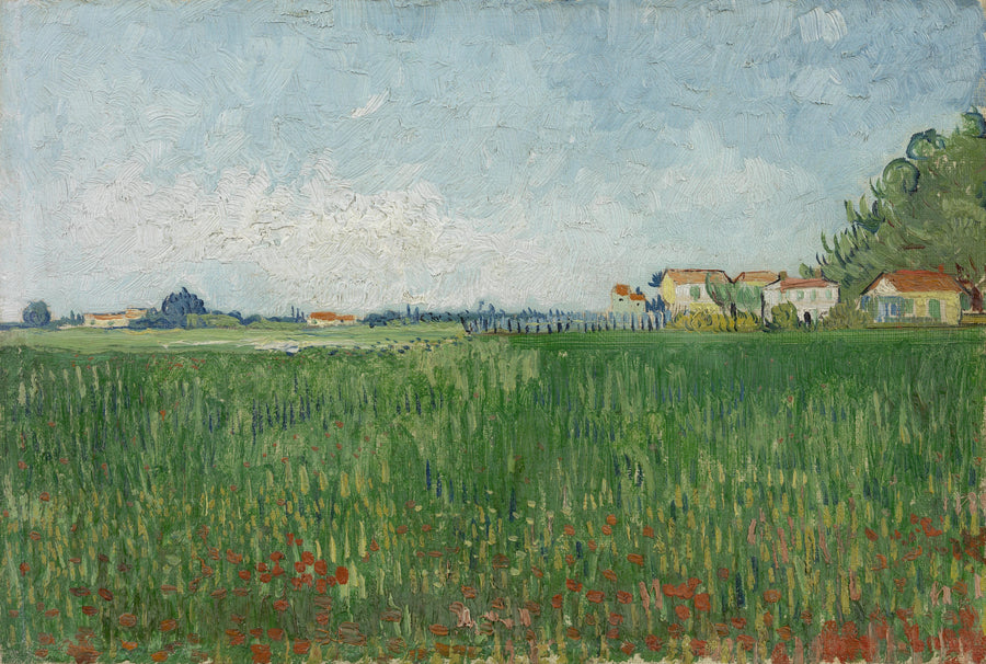 Champ de coquelicots F576 de Vincent van Gogh, Van Gogh Museum