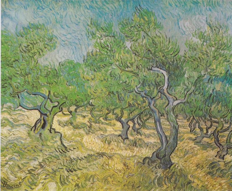 שדה זיתים - וינסנט ואן גוך