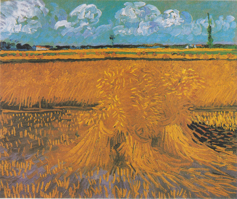 שדה חיטה עם חבילות - Vincent van Gogh