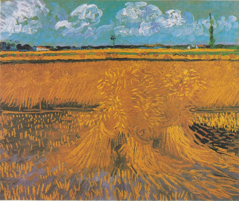 שדה חיטה עם חבילות - Vincent van Gogh