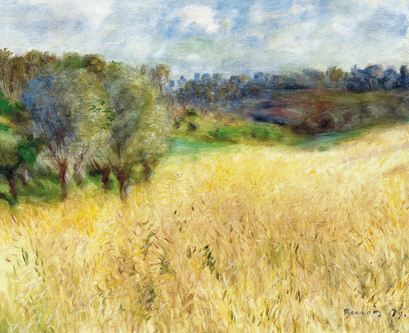 שדה חיטה - פייר-אוגוסט רנואר