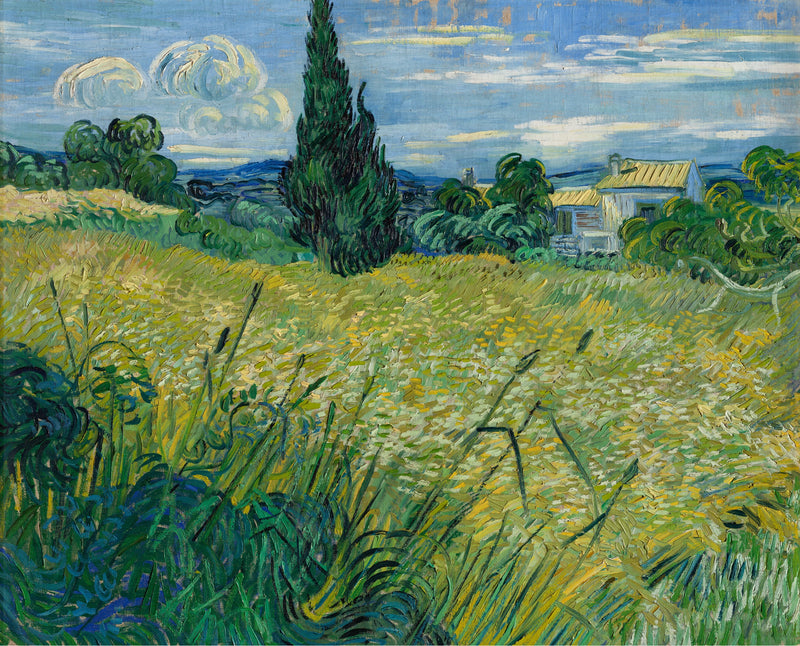 שדה חיטה ירוק עם ארז - Vincent van Gogh
