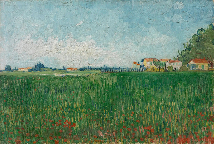 שדה פרגים - Vincent van Gogh