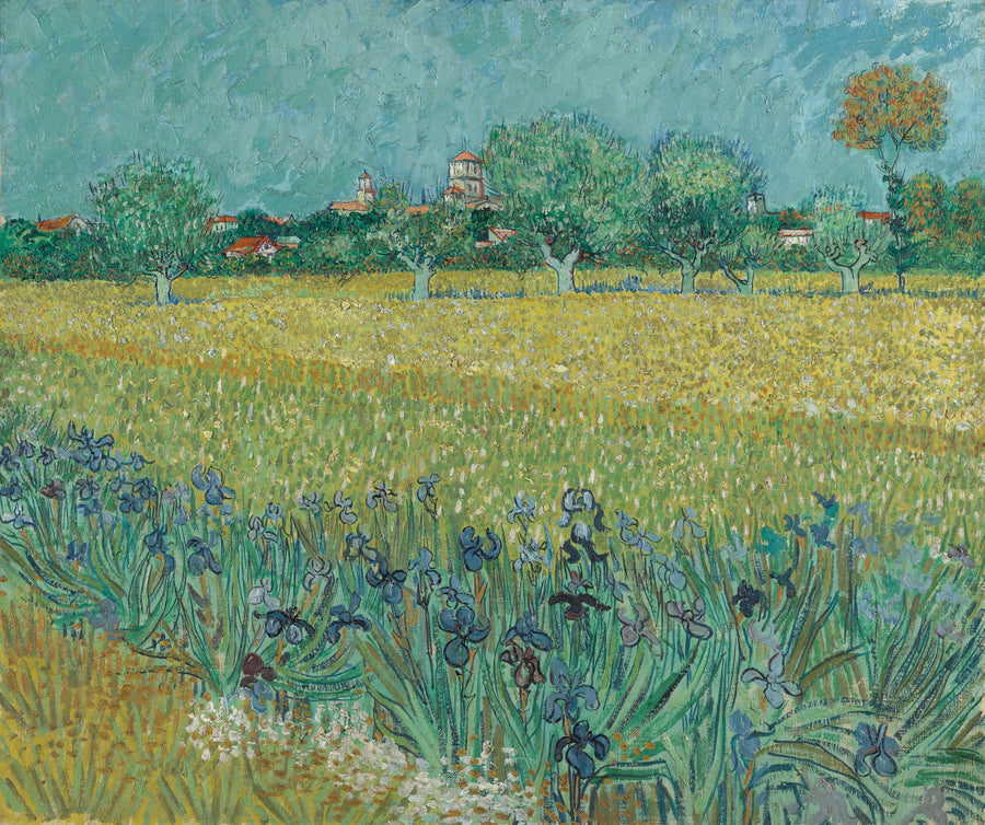 Champ avec iris près d’Arles F409 de Vincent van Gogh, Van Gogh Museum