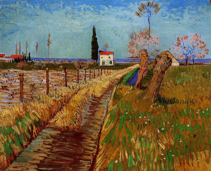 שביל דרך שדה ערבות - Vincent van Gogh