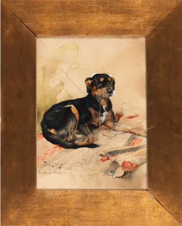 כלב ציד נח - ברונו ליליפורס