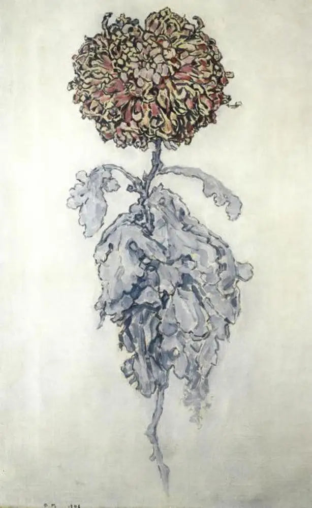 חרצית - פיט מונדריאן