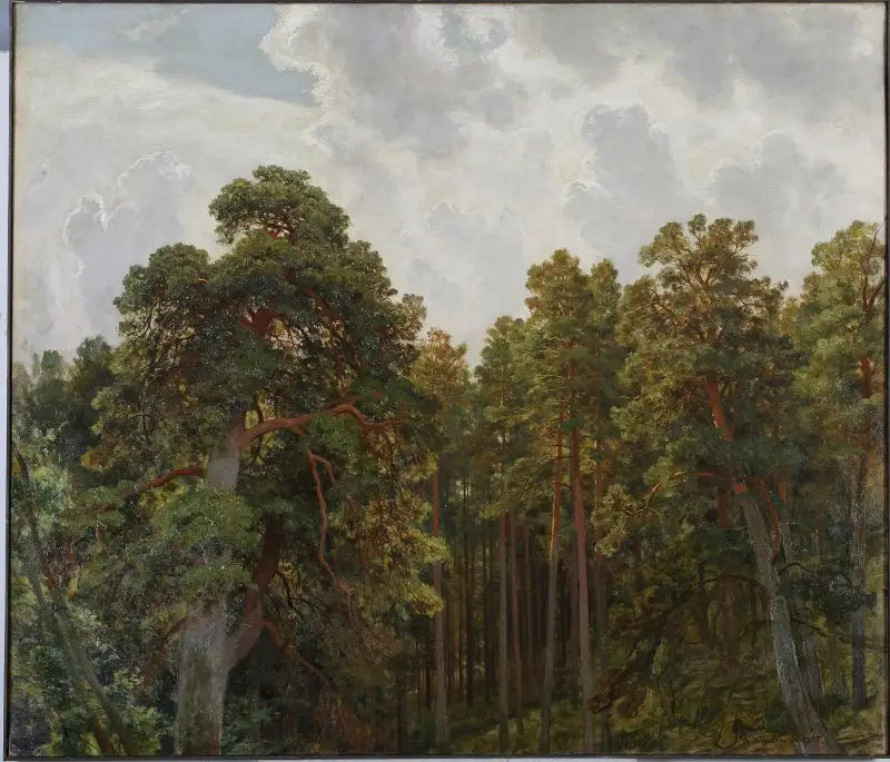 פסגות עצי אורן - איוון צ'יכין