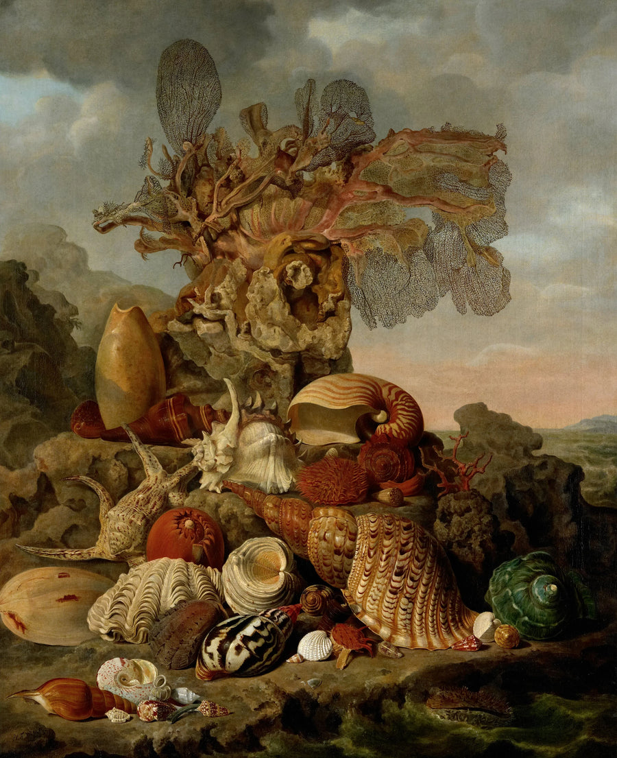 Coquillages et cultures marines - Henricus Franciscus Wiertz