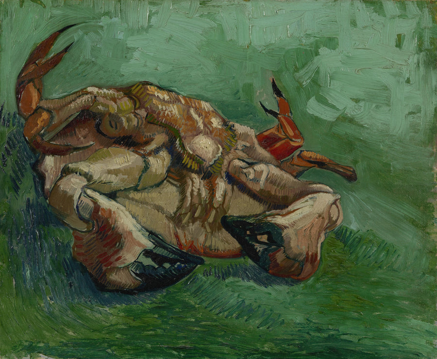 סרטן, שוכב על הגב - Vincent van Gogh