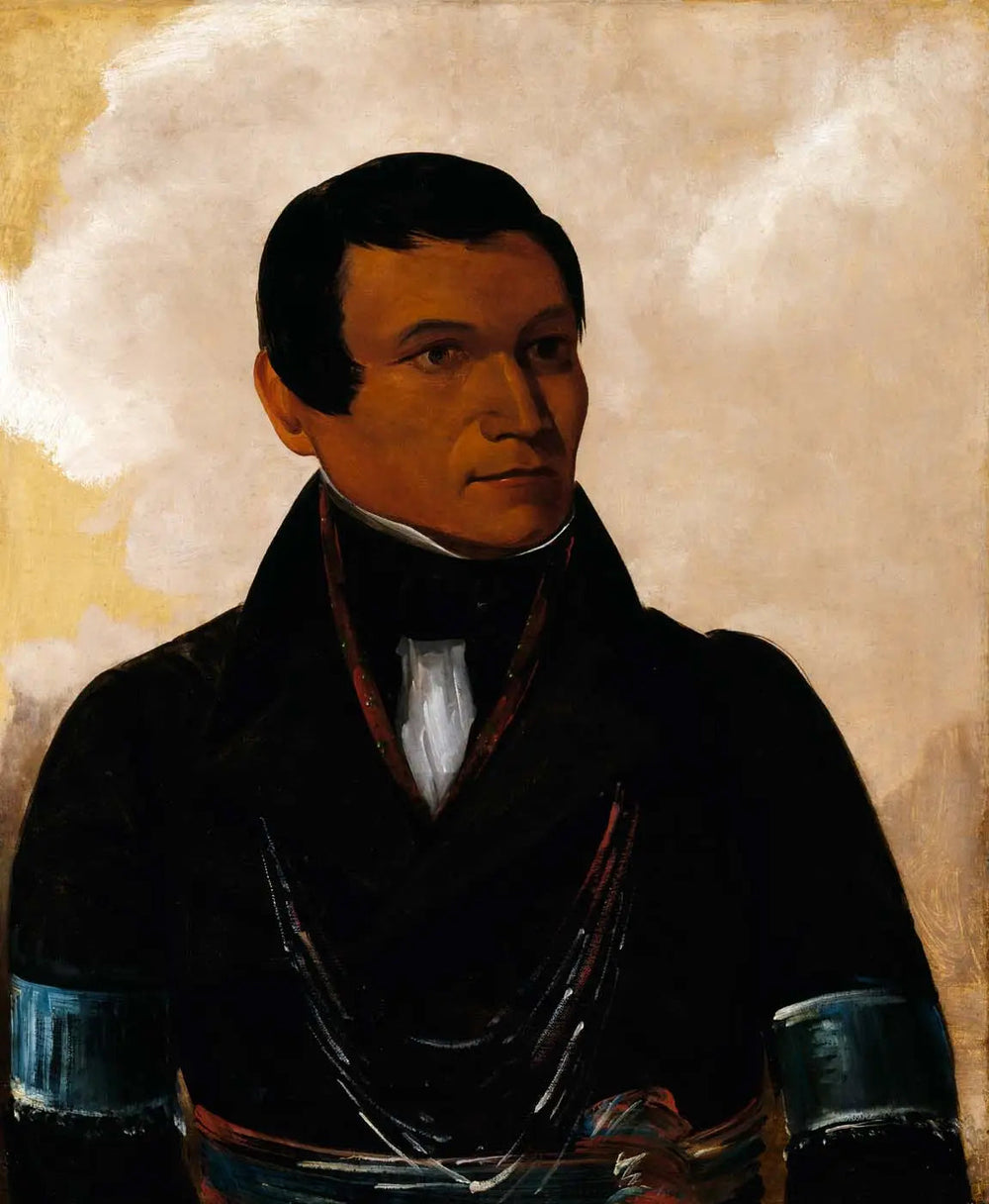 Cú-sick fils du chef - George Catlin - Alpha Reproduction