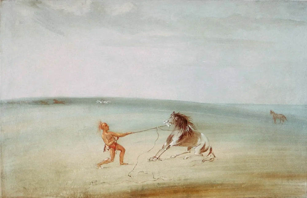 Décomposer le cheval sauvage - George Catlin - Alpha Reproduction